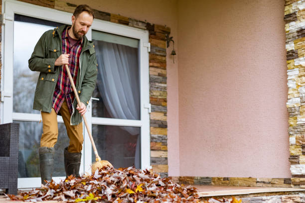Best Affordable Junk Removal Services  in Lake Waynoka, OH